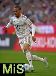 10.05.2025, Fussball 1. Bundesliga 2024/2025, 33. Spieltag,  FC Bayern Mnchen - Borussia Mnchengladbach, in der Allianz-Arena Mnchen. Leroy Sane (Bayern Mnchen)  am Ball,