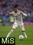 10.05.2025, Fussball 1. Bundesliga 2024/2025, 33. Spieltag,  FC Bayern Mnchen - Borussia Mnchengladbach, in der Allianz-Arena Mnchen. Michael Olise (FC Bayern Mnchen) am Ball.
