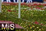 10.05.2025, Fussball 1. Bundesliga 2024/2025, 33. Spieltag,  FC Bayern Mnchen - Borussia Mnchengladbach, in der Allianz-Arena Mnchen. Nach der Siegerehrung des Deutschen Meisters liegen ber den ganzen Platz die Flitter-Konfetti verteilt.