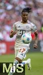 10.05.2025, Fussball 1. Bundesliga 2024/2025, 33. Spieltag,  FC Bayern Mnchen - Borussia Mnchengladbach, in der Allianz-Arena Mnchen. Michael Olise (FC Bayern Mnchen) am Ball 