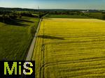 13.05.2025, Bad Wrishofen, Leuchtend gelbes Rapsfeld blht bei Bad Wrishofen im Unterallgu.  Drohnenfoto in der tiefstehenden Abendsonne.  Bume werfen lange Schatten