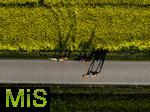 13.05.2025, Bad Wrishofen, Leuchtend gelbes Rapsfeld blht bei Bad Wrishofen im Unterallgu.  Drohnenfoto in der tiefstehenden Abendsonne.  Bume werfen lange Schatten