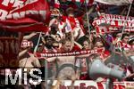 17.05.2025, Fussball 1. Bundesliga 2024/2025, 34. Spieltag,  TSG 1899 Hoffenheim - FC Bayern M�nchen, In der Pre-Zero-Arena Sinsheim.  FCB Fans 