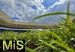17.05.2025, Fussball 1. Bundesliga 2024/2025, 34. Spieltag,  TSG 1899 Hoffenheim - FC Bayern M�nchen, In der Pre-Zero-Arena Sinsheim. Froschperspektive vom Rasen aus.