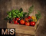 19.05.2025,  Tomaten-Kiste mit Basilikum und Rosmarin-Kruter.