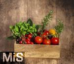 19.05.2025,  Tomaten-Kiste mit Basilikum und Rosmarin-Kruter.