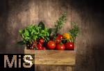 19.05.2025,  Tomaten-Kiste mit Basilikum und Rosmarin-Kruter.