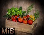 19.05.2025,  Tomaten-Kiste mit Basilikum und Rosmarin-Kruter.