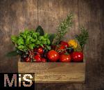 19.05.2025,  Tomaten-Kiste mit Basilikum und Rosmarin-Kruter.