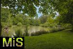 02.06.2025, Der Fischteich im Kurpark in Bad Wrishofen (Unterallgu), 