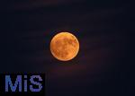 10.06.2025,  Bad Wrishofen im Allgu, Blutroter Vollmond steht am Nachthimmel am Abend, der sogenannte Erdbeermond. Der Vollmond steht auergewhnlich tief und kann dadurch besonders gro und rtlich erscheinen.