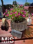 20.06.2025, Symbolbild, Thema: Reservierung in der Gastronomie,  Auf einem Biergarten-Tisch steht das RESERVIERT-Schild an einem Blumenstock.