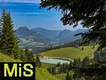 21.06.2025, Wandern im Allgu bei Oberjoch, Wandergebiet zum Berg Iseler,  Die bewirtete Wiedhag-Alpe mit dem Wasserteich fr die Beschneiungsanlage.