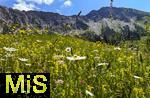 21.06.2025, Wandern im Allgu bei Oberjoch, Berg Iseler,  Er ist der Hausberg von Oberjoch und Bad Hindelang.  