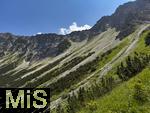 21.06.2025, Wandern im Allgu bei Oberjoch, Berg Iseler,  Er ist der Hausberg von Oberjoch und Bad Hindelang.  