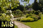 26.06.2025, Bad Wrishofen im Unterallgu, Tausende Rosen blhen im herrlichen Kurpark der Kneippstadt. 