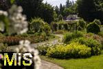 26.06.2025, Bad Wrishofen im Unterallgu, Tausende Rosen blhen im herrlichen Kurpark der Kneippstadt. 