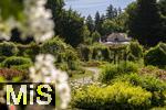26.06.2025, Bad Wrishofen im Unterallgu, Tausende Rosen blhen im herrlichen Kurpark der Kneippstadt. 