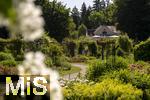 26.06.2025, Bad Wrishofen im Unterallgu, Tausende Rosen blhen im herrlichen Kurpark der Kneippstadt. 