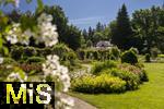 26.06.2025, Bad Wrishofen im Unterallgu, Tausende Rosen blhen im herrlichen Kurpark der Kneippstadt. 