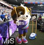 19.07.2025, UEFA Frauen-Europameisterschaft 2025 in der Schweiz. Viertelfinale, Frankreich - Deutschland, im St-Jakob-Park Basel (Schweiz). Das Maskottchen der Frauen Europameisterschaft Maddli der Berhardiner - Welpe