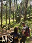 20.06.2025, Olbersdorf in Sachsen (Grlitz), Waldsterben in den Wldern um den Tpfer Berg. Reihenweise graue, trockene, nackte Bume ragen wie ein Meer aus dnnen Ngeln in den Himmel. Der jahrzehntealte Wald hier ist innerhalb weniger Jahre zu einem Baumfriedhof geworden, (Modelreleased)