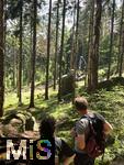 20.06.2025, Olbersdorf in Sachsen (Grlitz), Waldsterben in den Wldern um den Tpfer Berg. Reihenweise graue, trockene, nackte Bume ragen wie ein Meer aus dnnen Ngeln in den Himmel. Der jahrzehntealte Wald hier ist innerhalb weniger Jahre zu einem Baumfriedhof geworden, (Modelreleased)