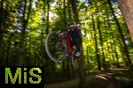 02.08.2025, Ferien in Bayern, viel Zeit fr Schulkinder fr ihre Freizeitaktivitten. Philipp aus Bad Wrishofen beim Mountainbiken im Wald, (Modelreleased) 