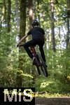02.08.2025, Ferien in Bayern, viel Zeit fr Schulkinder fr ihre Freizeitaktivitten. Philipp aus Bad Wrishofen beim Mountainbiken im Wald, (Modelreleased) 