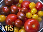 04.08.2025,  Tomaten werden gewaschen. In einer Kche in Bayern liegen verschiedenfarbige frische Tomaten aus dem heimischen Garten in einem Wasch-Sieb in der Sple.