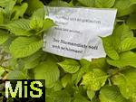 10.08.2025, Bad Wrishofen im Unterallgu. Nachricht an einen Blumendieb ? er soll sich schmen?