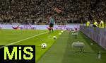 16.08.2025, Fussball Bundesliga 2025/2026, Franz-Beckenbauer-Supercup, VfB Stuttgart - FC Bayern Mnchen, in der MHP-Arena (Stuttgart). Der Spielball, (Spielblle) liegt auf einem Htchen bereit am Spielfeldrand. Exclusive Editiion von Derbystar fr den Supercup 2025. Im Retro-Design. Offizieller Spielball des Franz-Beckenbauer-Supercup 2025, Limitiert auf 250 Exemplare. Handgenht.
