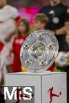 22.08.2025, Fussball Bundesliga 2025/2026, 1.Spieltag, FC Bayern Mnchen - RB Leipzig, in der Allianz-Arena Mnchen, Die Meisterschale steht auf der Stele, die Mannschaften stehen dahinter bereit 