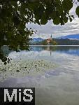 03.09.2025, Bled, Slowenien, Der Bleder See, auch Veldeser See oder Felder See, slowenisch Blejsko jezero, ist ein See in der slowenischen Region Oberkrain (Gorenjska) beim Kurort Bled. Blick  auf die Insel Blejski Otok mit der bekannten Marienkirche mitten im See.