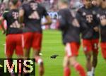 13.09.2025, Fussball Bundesliga 2025/2026, 3.Spieltag, FC Bayern Mnchen - Hamburger SV in der Allianz-Arena Mnchen,  Eine Taube frit vom Rasen.


