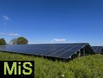 22.09.2025, Photovoltaik bei Bad Wrishofen (Bayern). Freiflchen-PV-Anlage