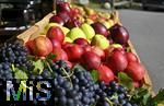 25.09.2025, Meran in Sdtirol, Italien. Ortsteil Dorf Tirol,  Die Erntezeit ist in vollem Gange, das Obst ist reif, die Trauben sind Erntefertig. AN einem Verkaufsstand sind pfel und Weintrauben im Angebot.