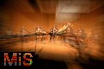 28.09.2025, Internationales Klassikfestival: Festival der Nationen 2025, im Kurhaus Bad Wrishofen (Unterallgu), Cellissiomo im Kursaal mit einer Gruppe von 12 Cellisten der Berliner Philharmonikern.