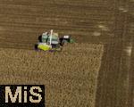 01.10.2025, Bad Wrishofen, Der reife Mais wird von Landwirten abgeerntet, auf einem Feld bei Bad Wrishofen im Unterallgu.  Luftbild 