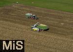 01.10.2025, Bad Wrishofen, Der reife Mais wird von Landwirten abgeerntet, auf einem Feld bei Bad Wrishofen im Unterallgu.  Luftbild 