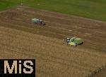01.10.2025, Bad Wrishofen, Der reife Mais wird von Landwirten abgeerntet, auf einem Feld bei Bad Wrishofen im Unterallgu.  Luftbild 