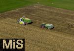 01.10.2025, Bad Wrishofen, Der reife Mais wird von Landwirten abgeerntet, auf einem Feld bei Bad Wrishofen im Unterallgu.  Luftbild 