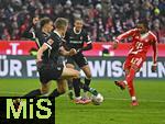22.11.2025, Fussball Bundesliga 2025/2026, 11.Spieltag, FC Bayern M�nchen - SC Freiburg, in der Allianz-Arena M�nchen,  Michael Olise (FC Bayern M�nchen) trifft zum 2:2



