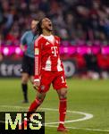 22.11.2025, Fussball Bundesliga 2025/2026, 11.Spieltag, FC Bayern M�nchen - SC Freiburg, in der Allianz-Arena M�nchen, Michael Olise (FC Bayern M�nchen) �rgert sich 