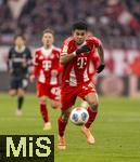 22.11.2025, Fussball Bundesliga 2025/2026, 11.Spieltag, FC Bayern M�nchen - SC Freiburg, in der Allianz-Arena M�nchen, Luis Diaz (FC Bayern M�nchen) am Ball 