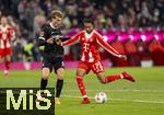 22.11.2025, Fussball Bundesliga 2025/2026, 11.Spieltag, FC Bayern M�nchen - SC Freiburg, in der Allianz-Arena M�nchen, v.li: Patrick Osterhage (SC Freiburg) gegen Michael Olise (FC Bayern M�nchen) 