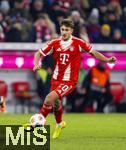 22.11.2025, Fussball Bundesliga 2025/2026, 11.Spieltag, FC Bayern M�nchen - SC Freiburg, in der Allianz-Arena M�nchen, Tom Bischof (Bayern M�nchen) am Ball 