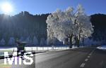 31.12.2025, Winterlandschaft bei F�ssen im Allg�u, Bei Schwangau