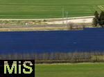 03.04.2025,  Bei Kammlach im Unterallg�u, Photovoltaik-Fl�che gleich neben der Bahnstrecke Lindau - M�nchen.