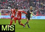 21.02.2026, Fussball Bundesliga 2025/2026, 23.Spieltag, FC Bayern M�nchen - Eintracht Frankfurt, in der Allianz-Arena M�nchen,   v.l. Jamal Musiala (Bayern M�nchen) gegen Oscar Hojlund (Eintracht Frankfurt) 


